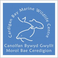 Cardigan Bay Marine Wildlife Centre