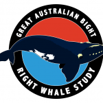 Curtin University Great Australian Bight Right Whale Study