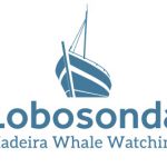 Lobosonda - Madeira whale watching