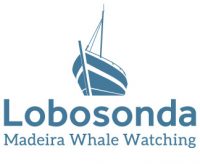 Lobosonda - Madeira whale watching