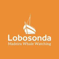 Lobosonda - Madeira Whalewatching