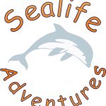 Sealife Adventures